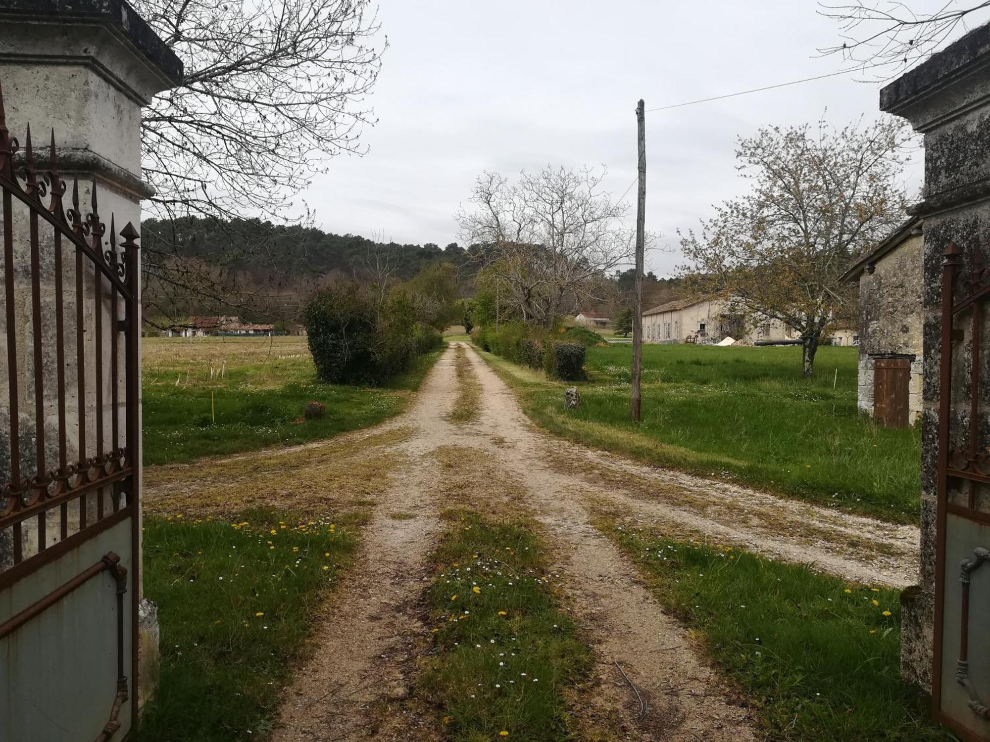 Domaine Du Baron Otel Saint-Martin-l'Astier Dış mekan fotoğraf